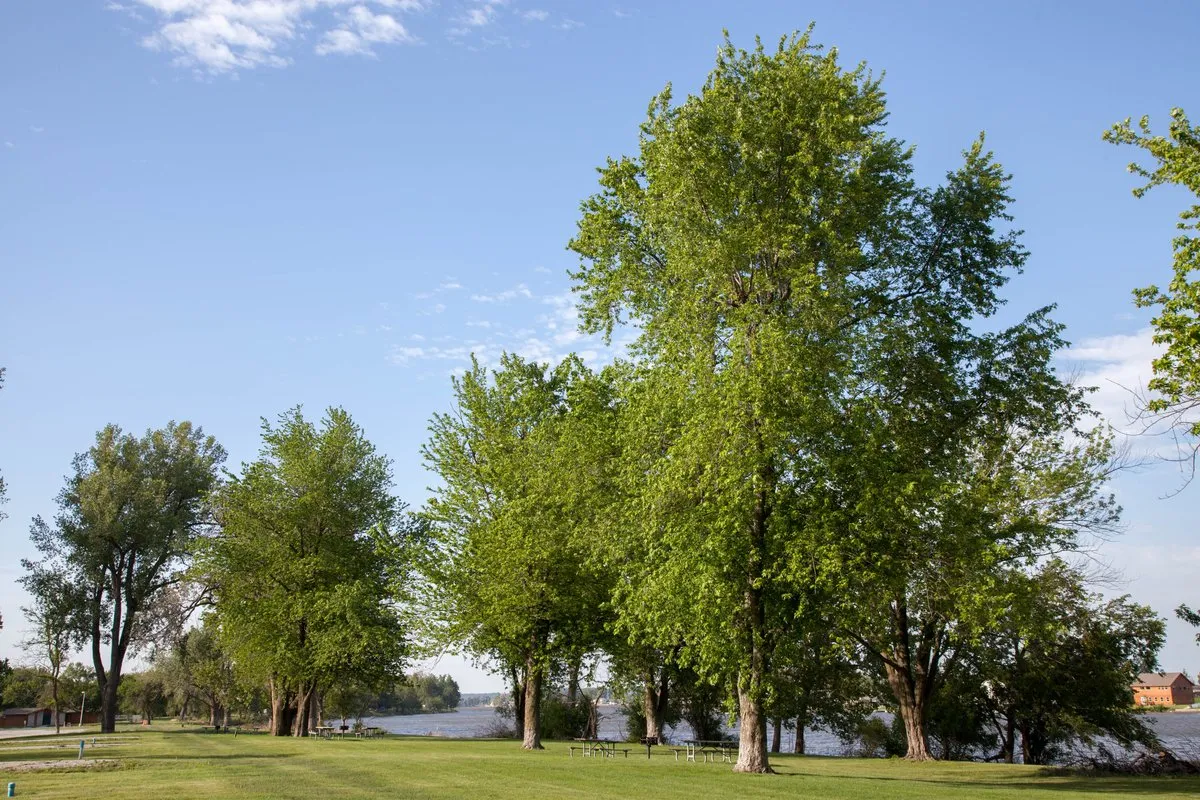Big Lake Premium Camper Cabins