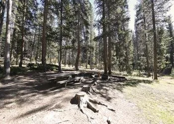 May Creek Campground