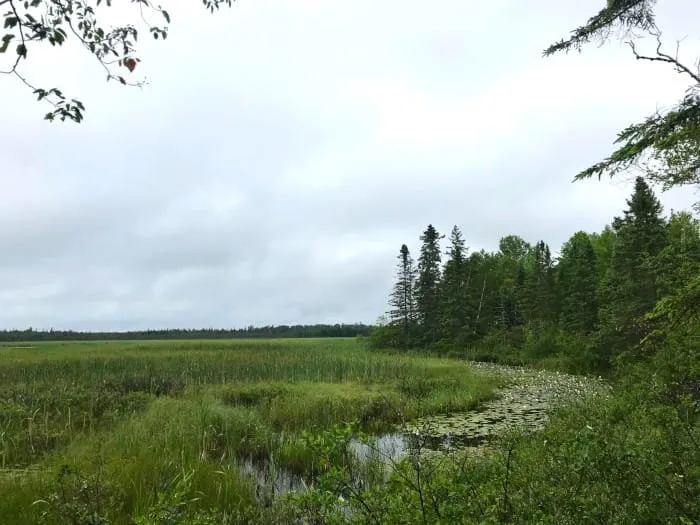 Natalie State Forest Campground