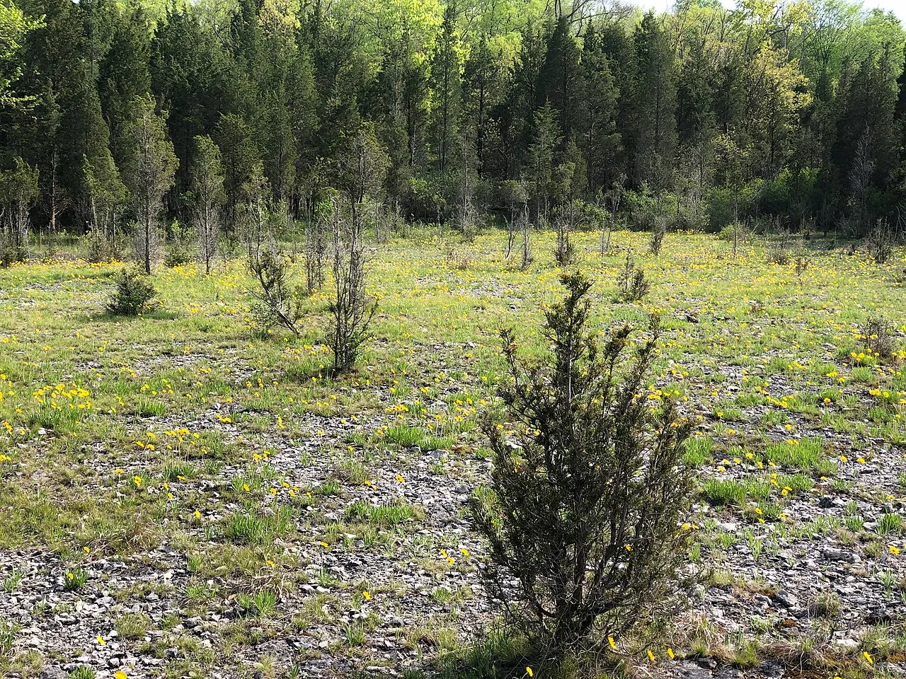 Kelleys Island Campground