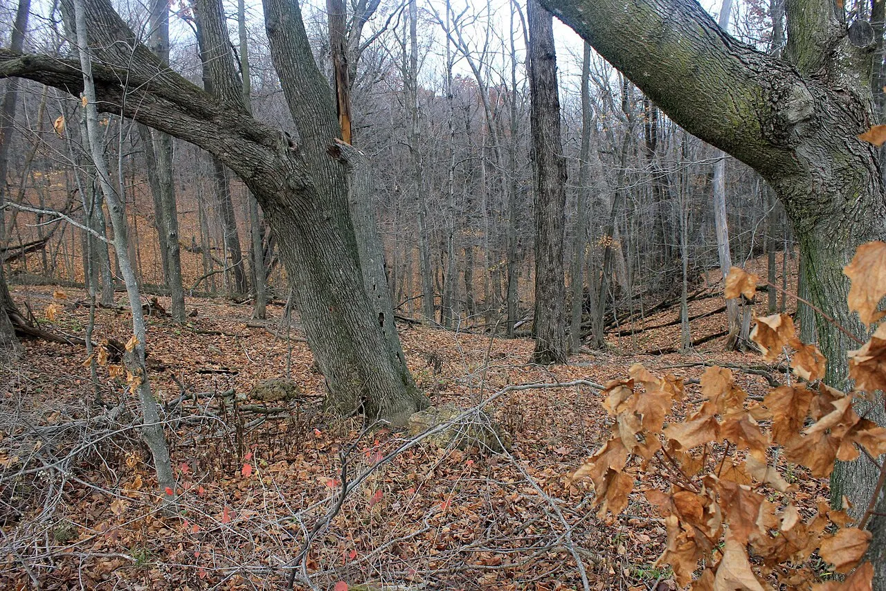 Blue Mound State Park