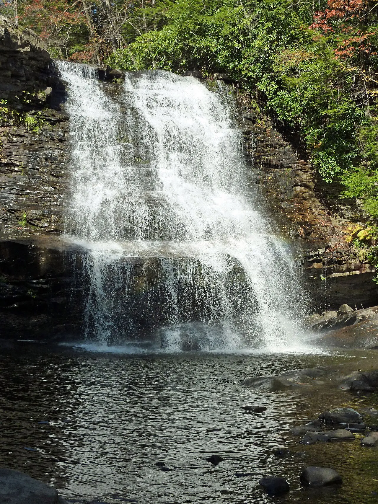 Swallow Falls State Park