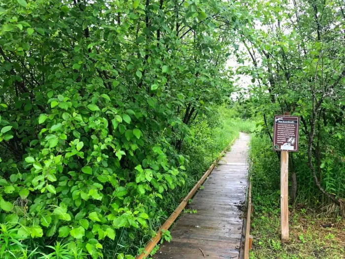 Natalie State Forest Campground
