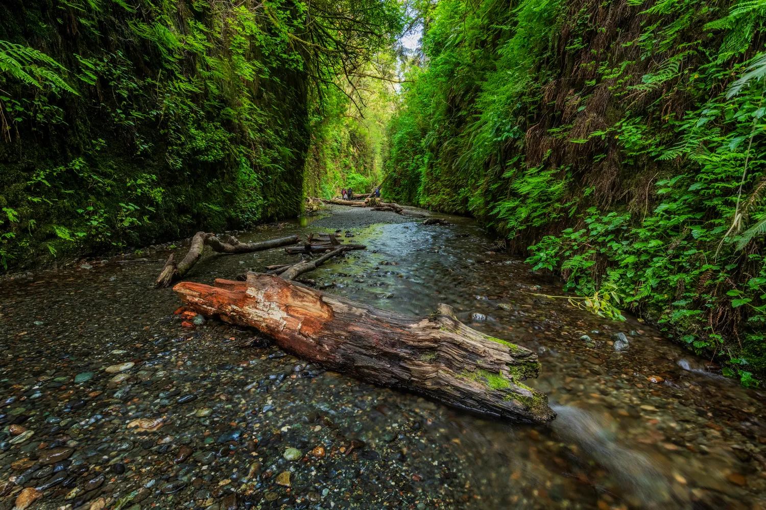 Gold Bluff Beach Campground