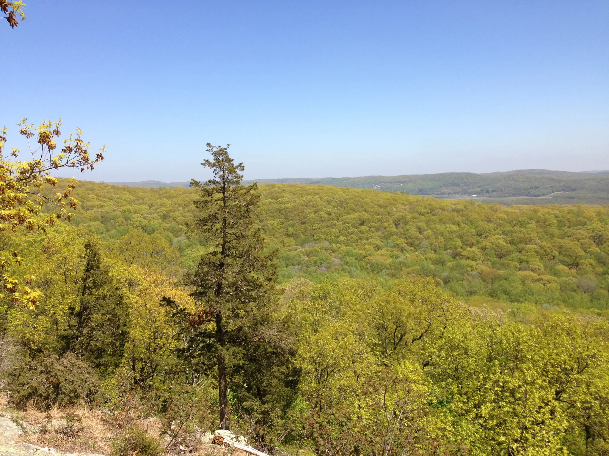 Jenny Jump Campground