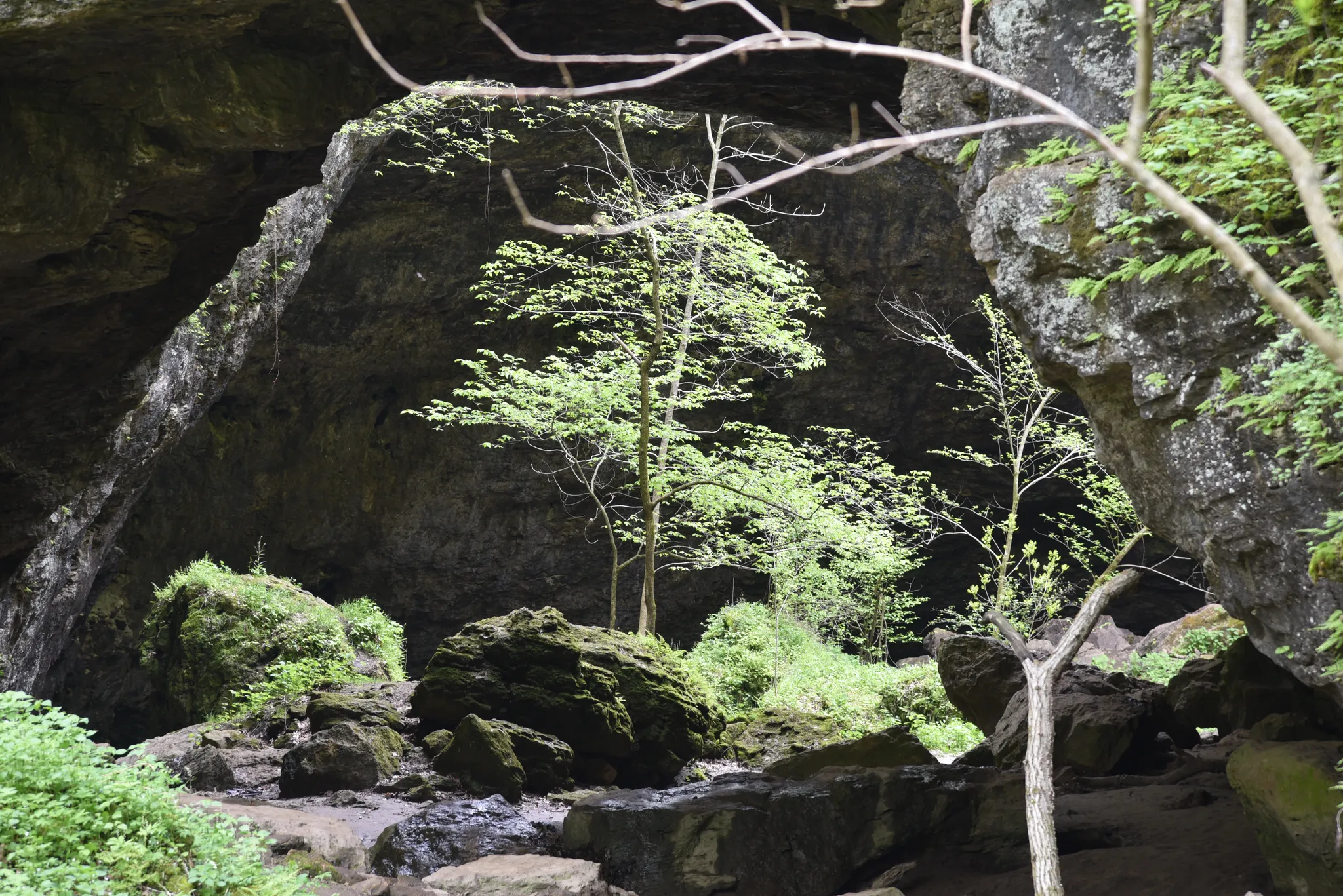 Maquoketa Caves State Park