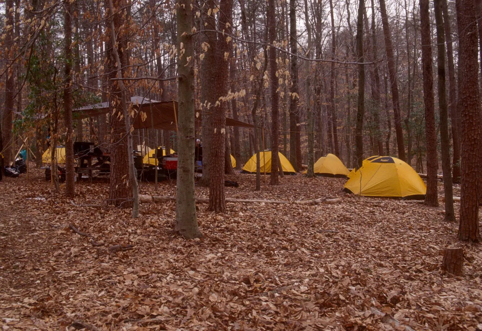 Turkey Run Ridge Group