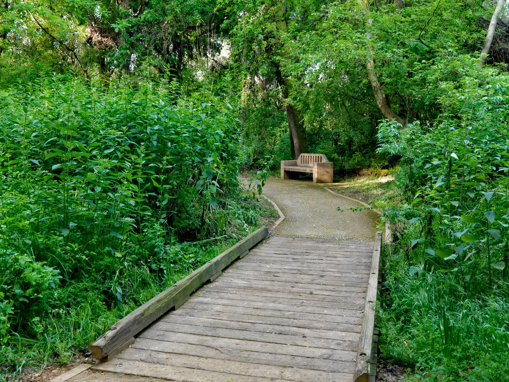 Caswell Memorial State Park Campground