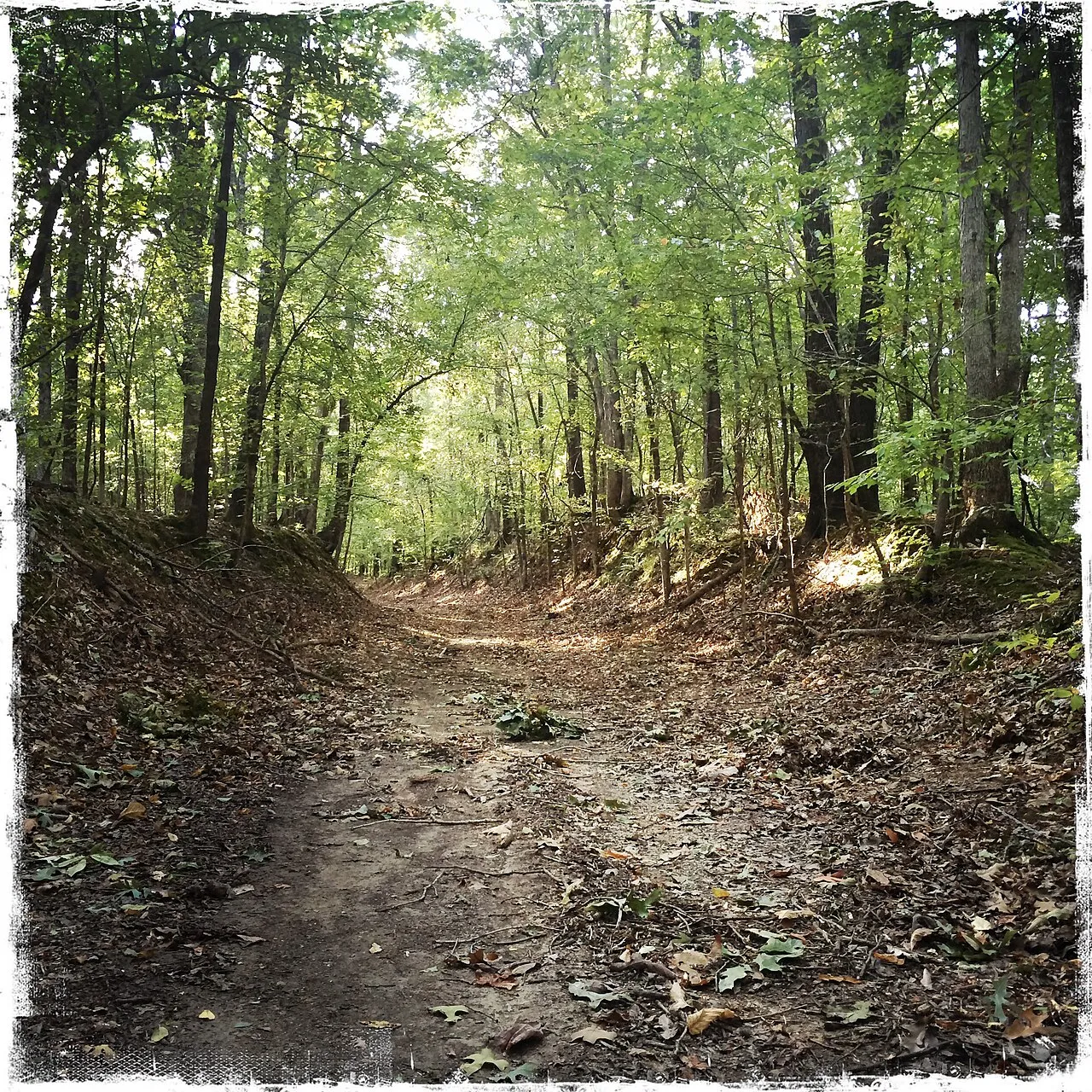 Village Creek Campground