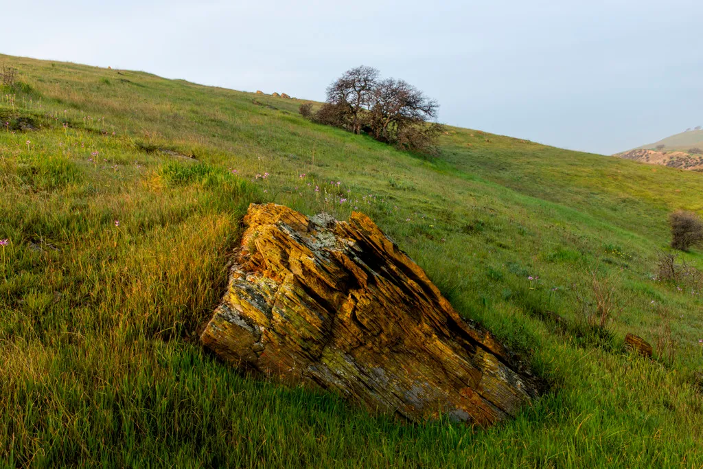 San Luis Creek Campground