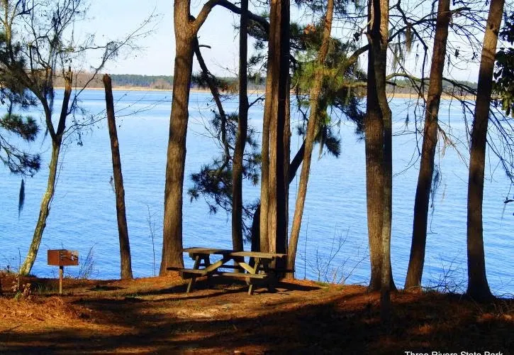 Lake View