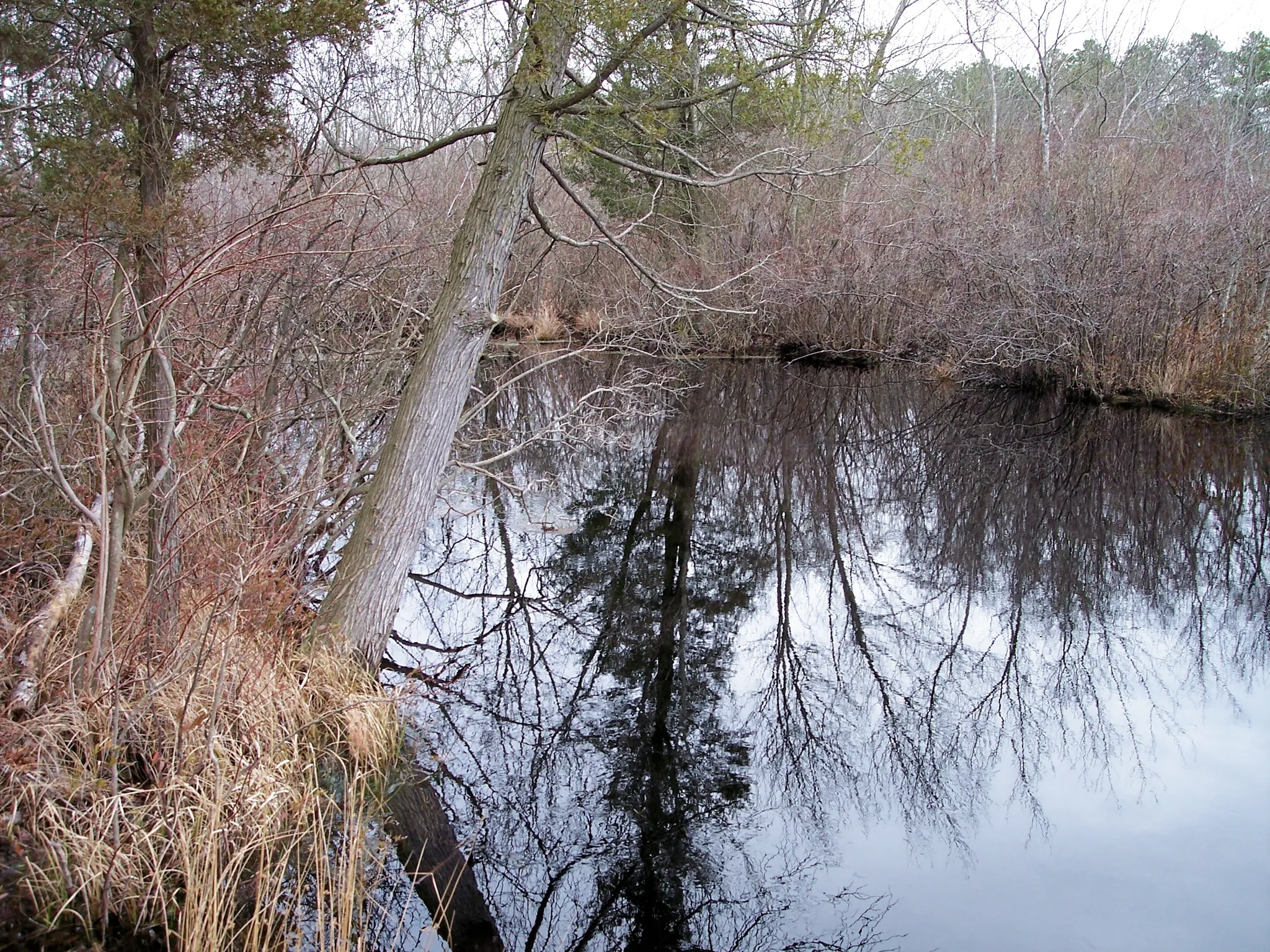 Belleplain Campground