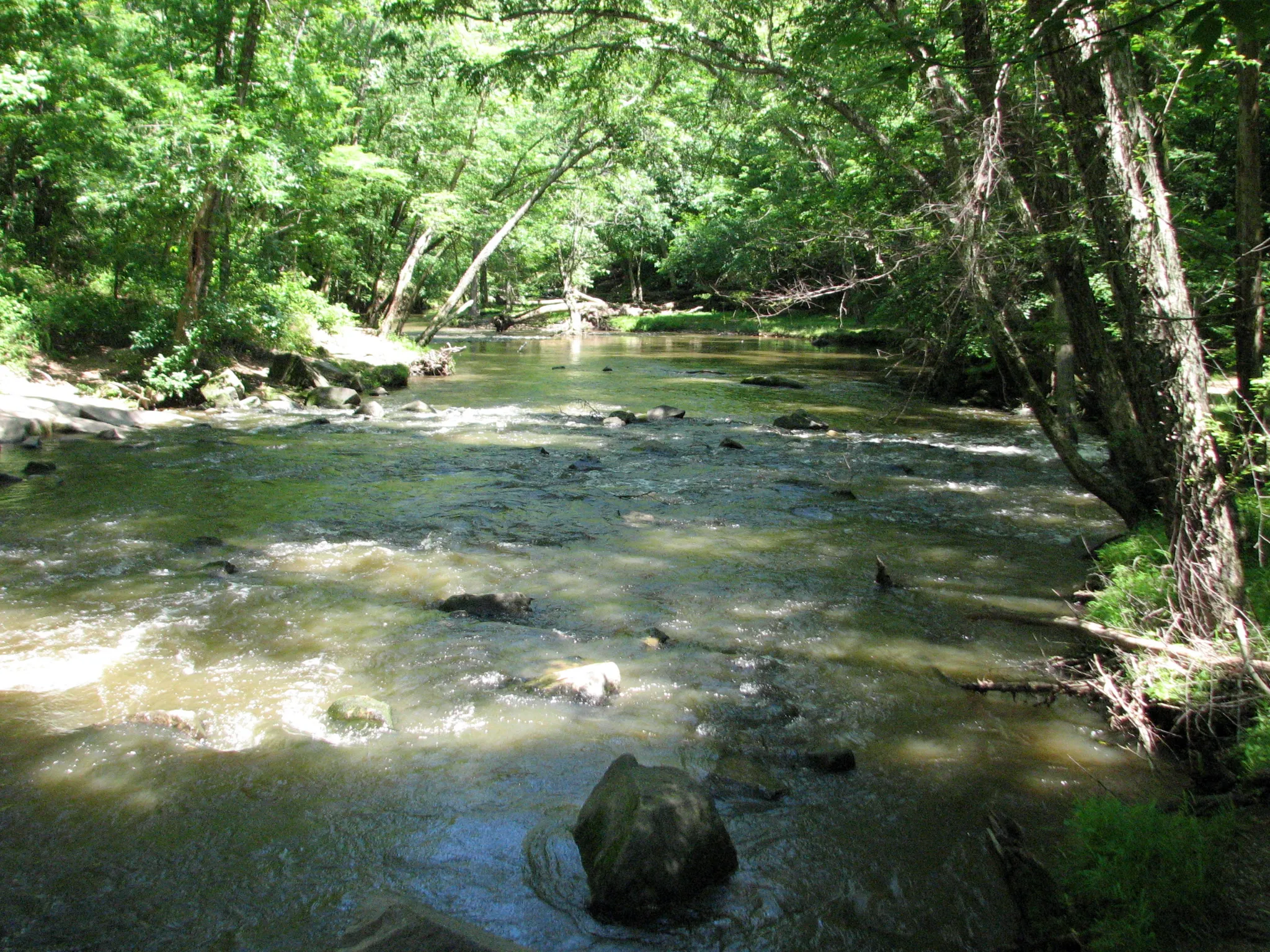William B. Umstead State Park