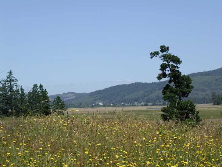 Maud Williamson State Recreation Site