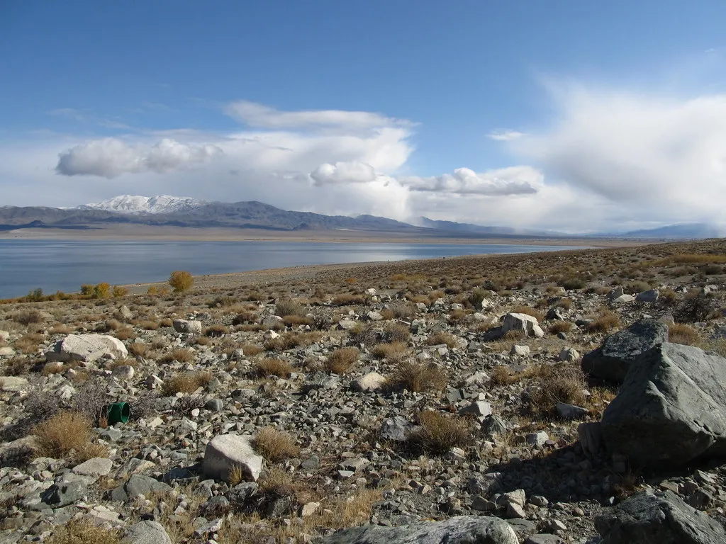 Walker's Point Recreation Area Campground