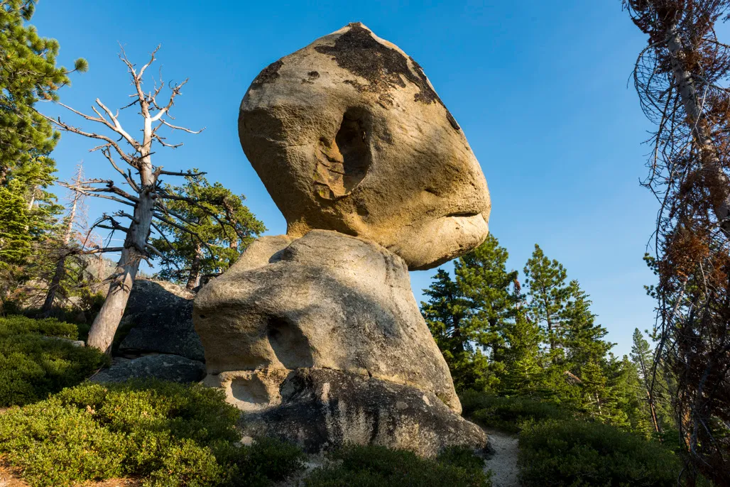 Pine Campground
