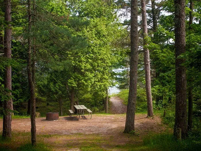 Big Knob State Forest Campground