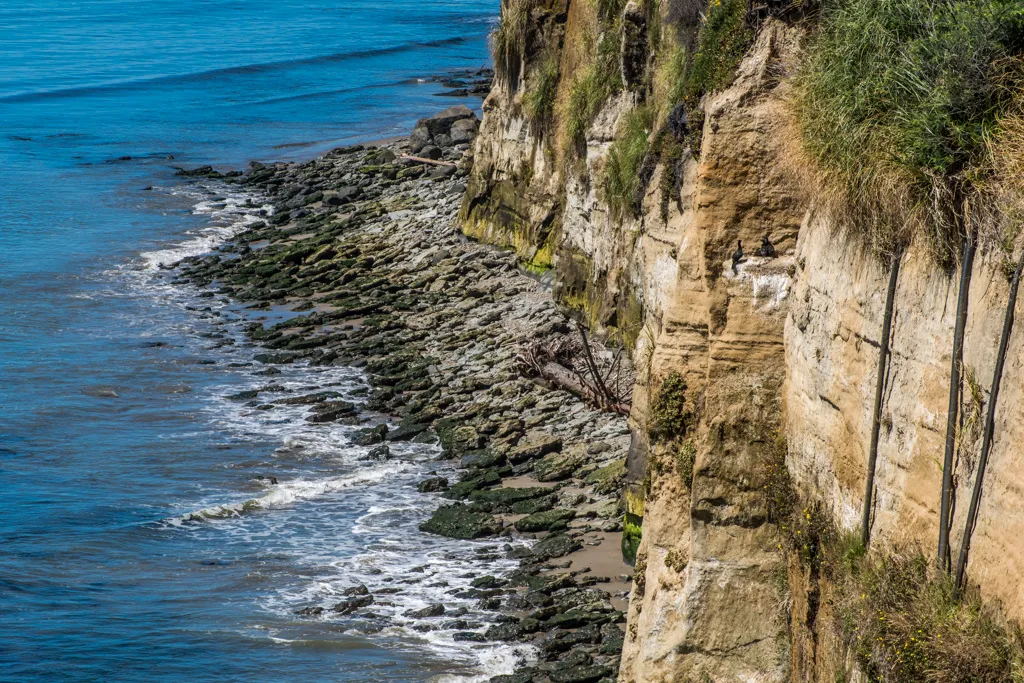 New Brighton State Beach Campground