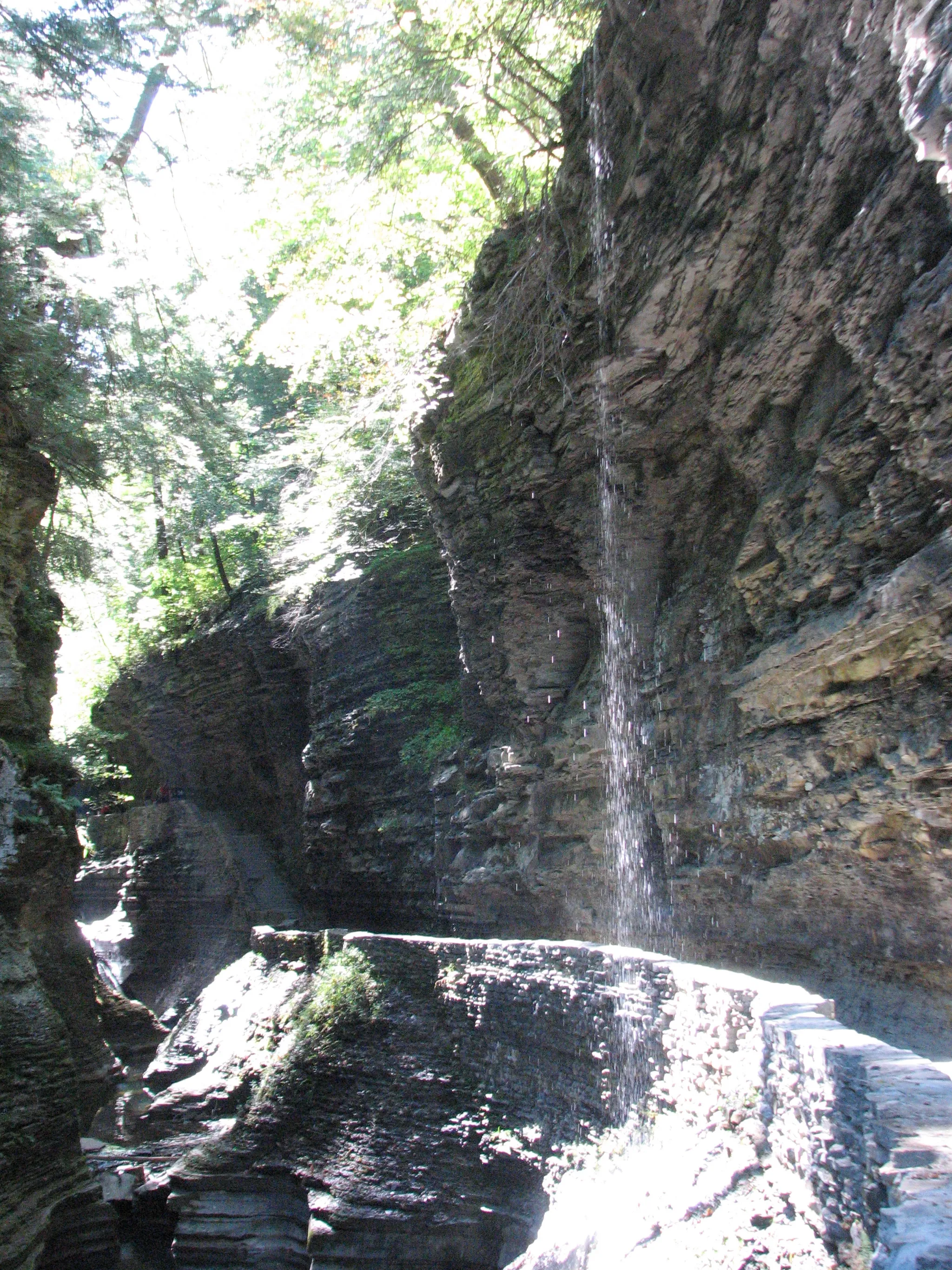 Watkins Glen State Park