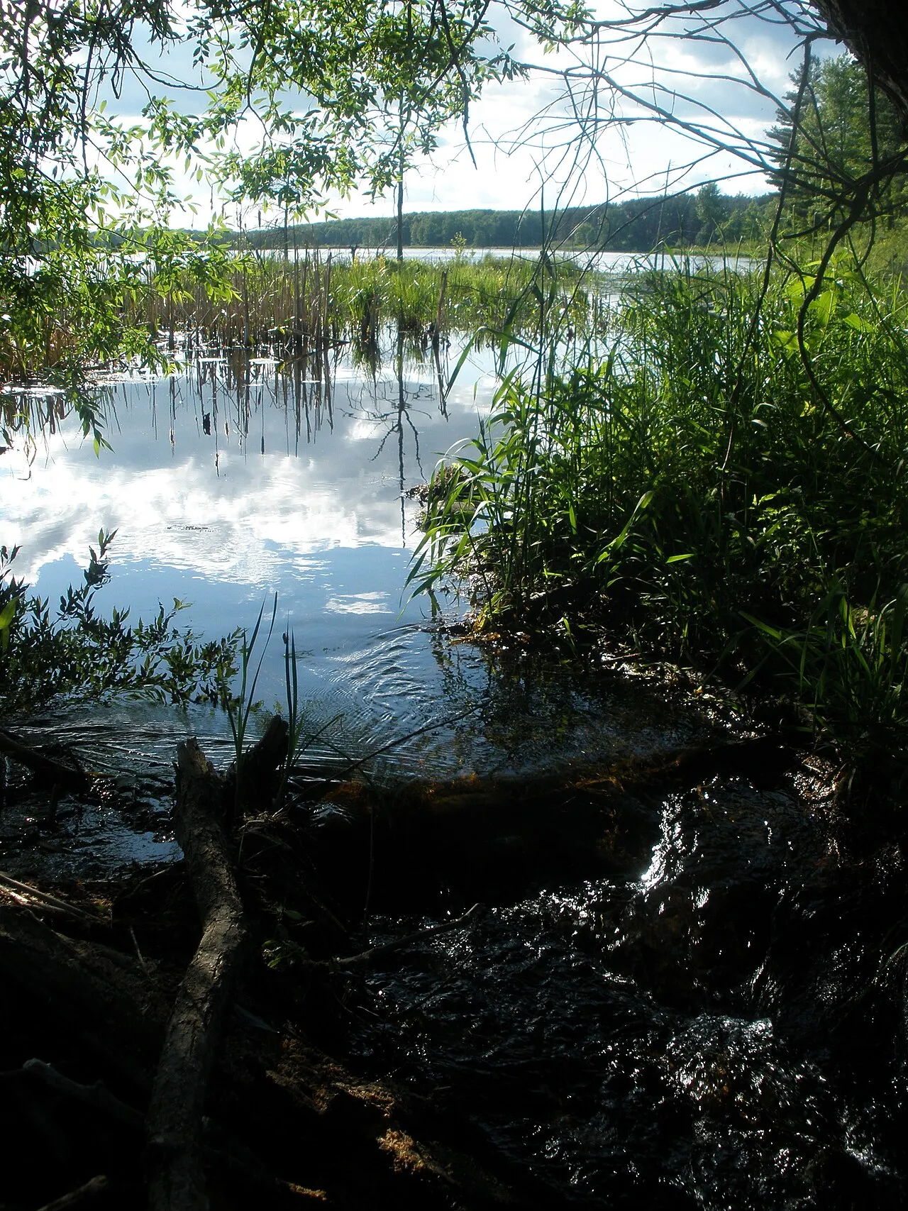 Straight Lake State Park