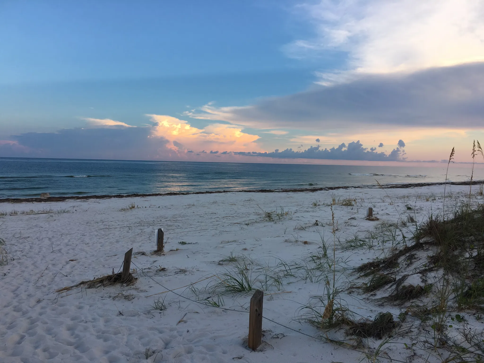 Dr. Julian G. Bruce St. George Island State Park Campground 2
