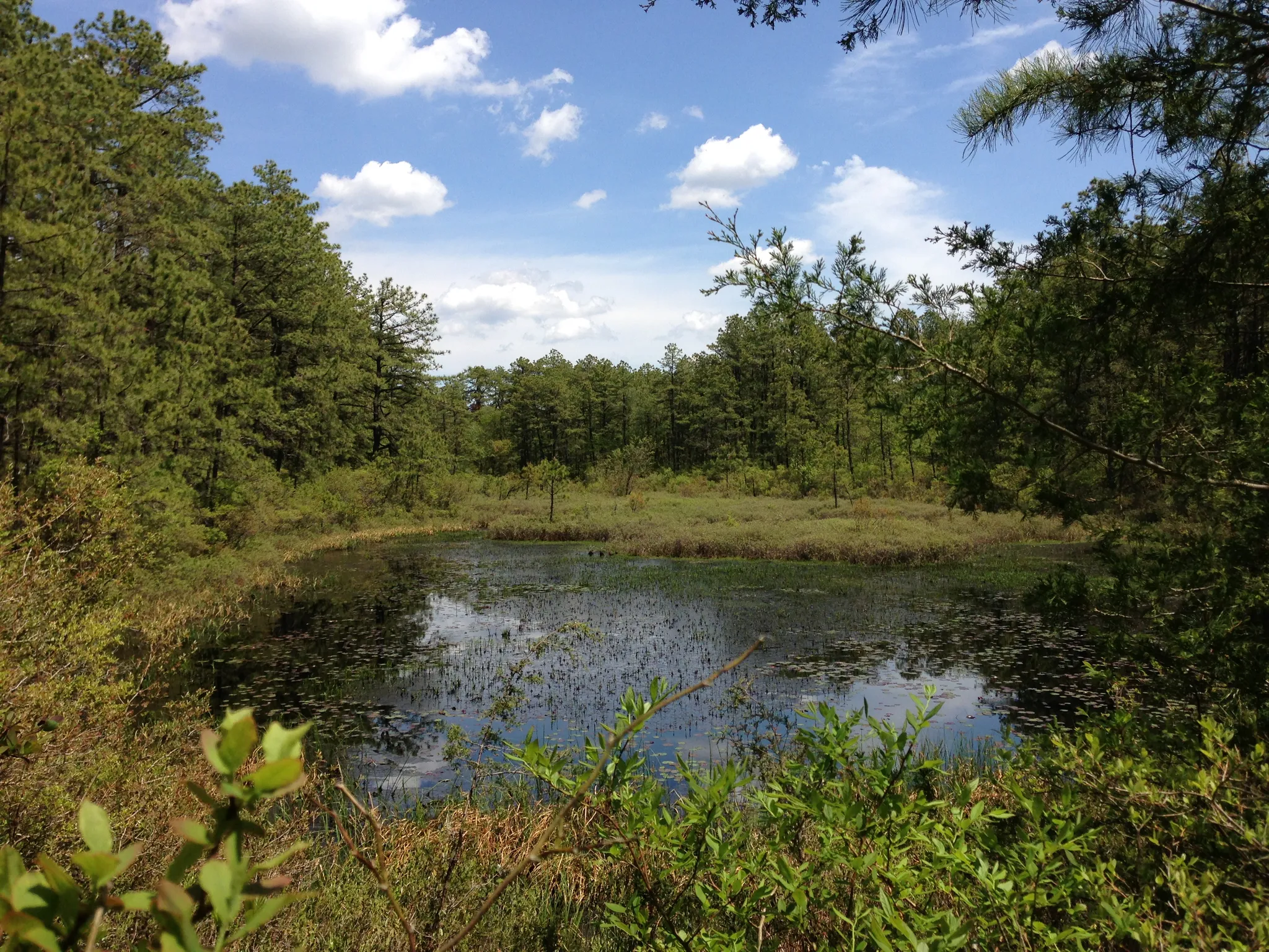 Brendan T. Byrne Campground