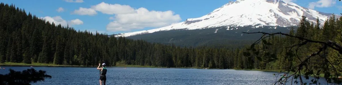 Forest Creek Campground