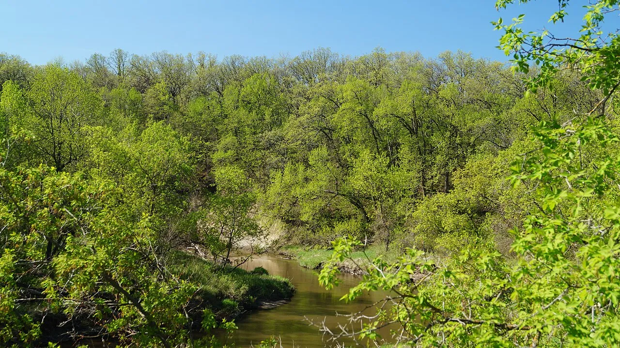 Turtle River Campground