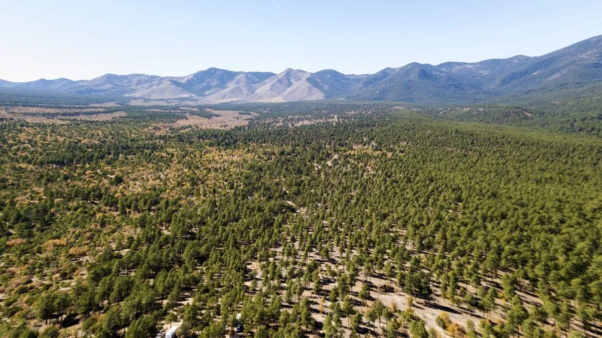 Manzano Mountains