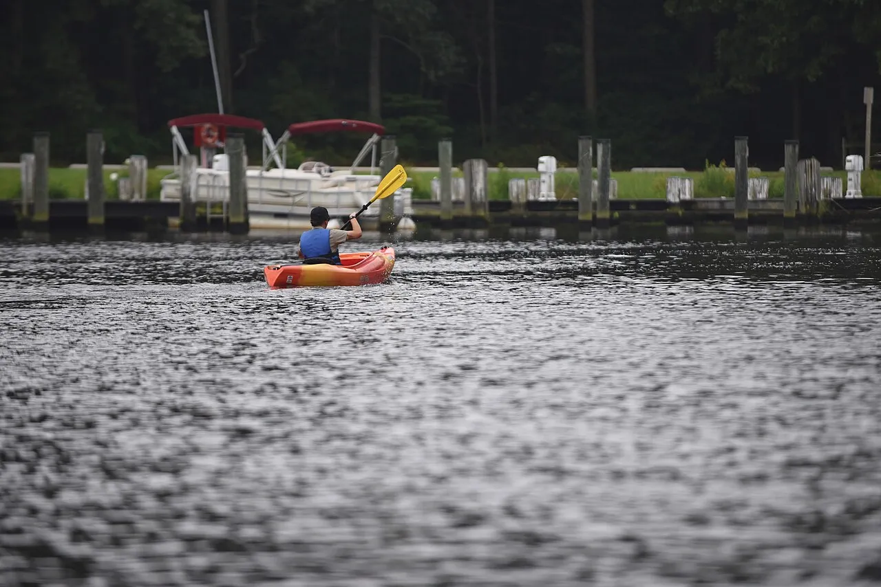 Pocomoke River State Park