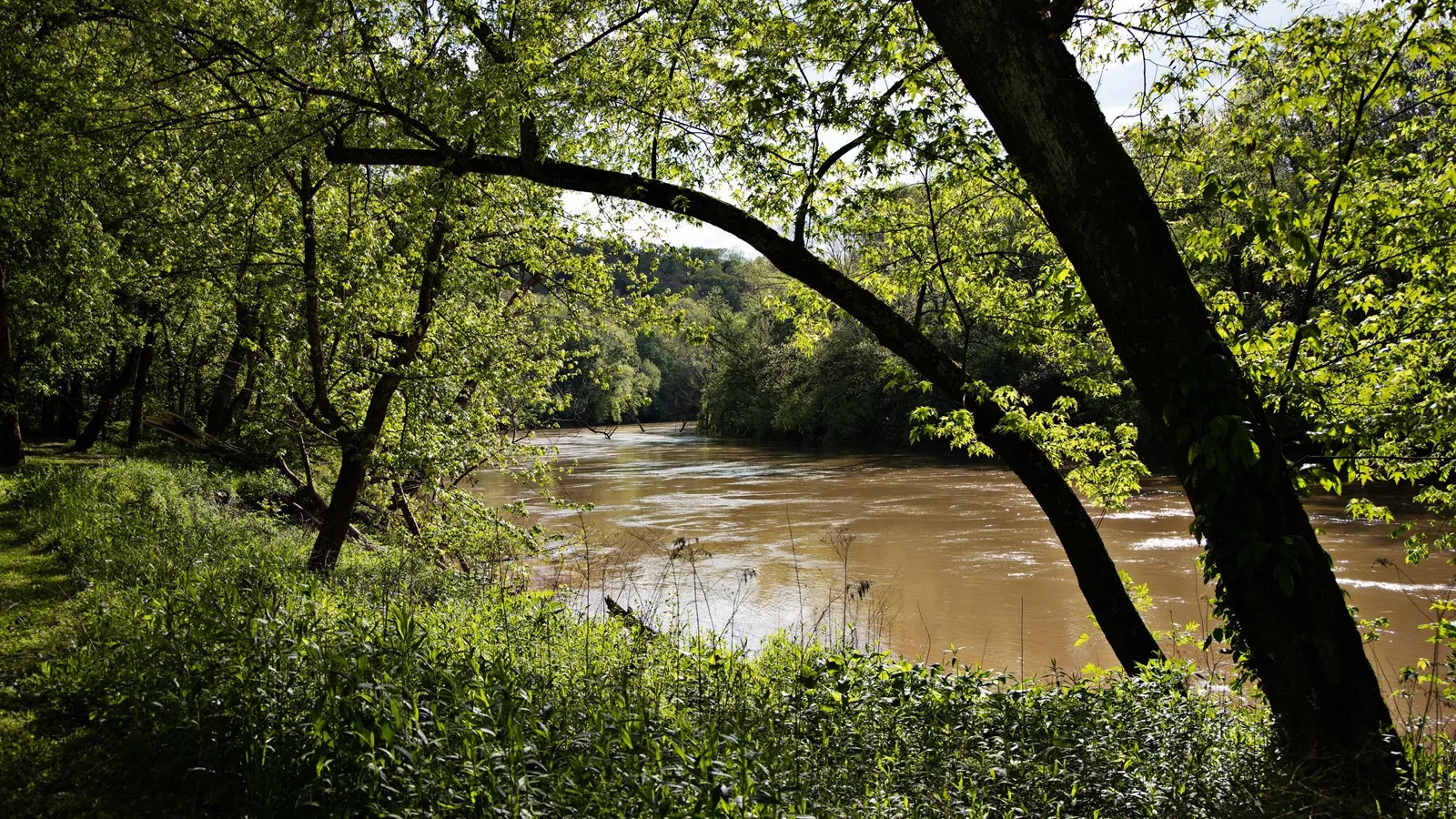 Houchin Ferry Campground
