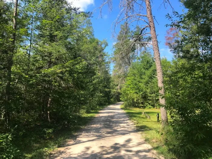 Tomahawk Creek Flooding State Forest Campground