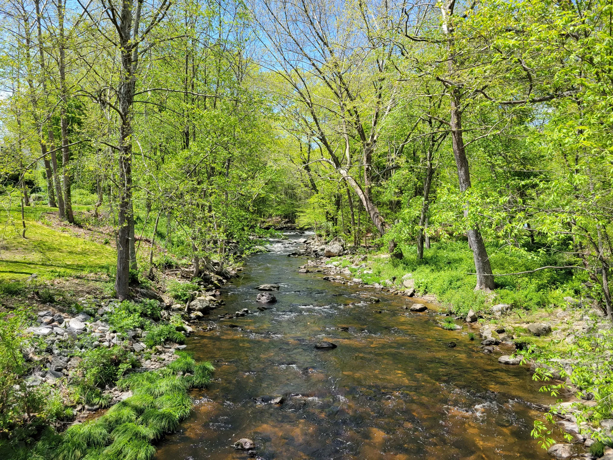 Mashamoquet Brook State Park