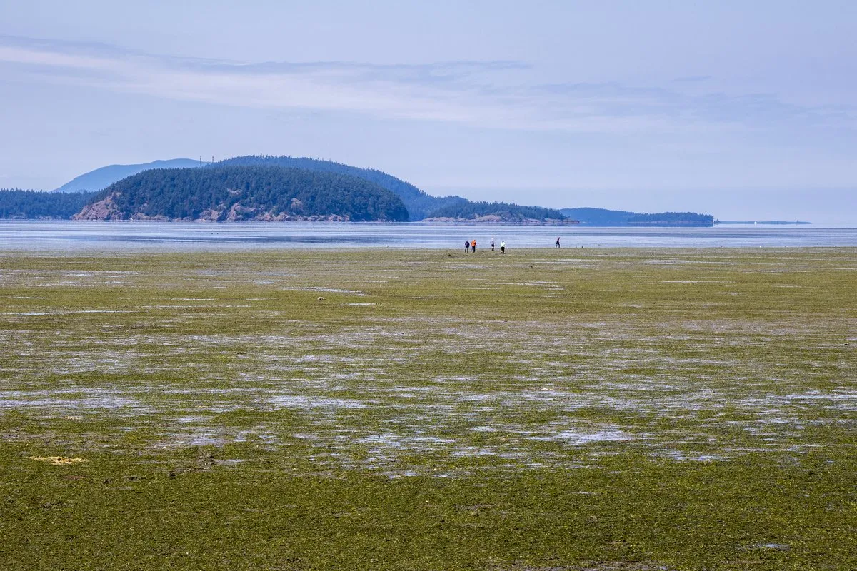 Bay View State Park