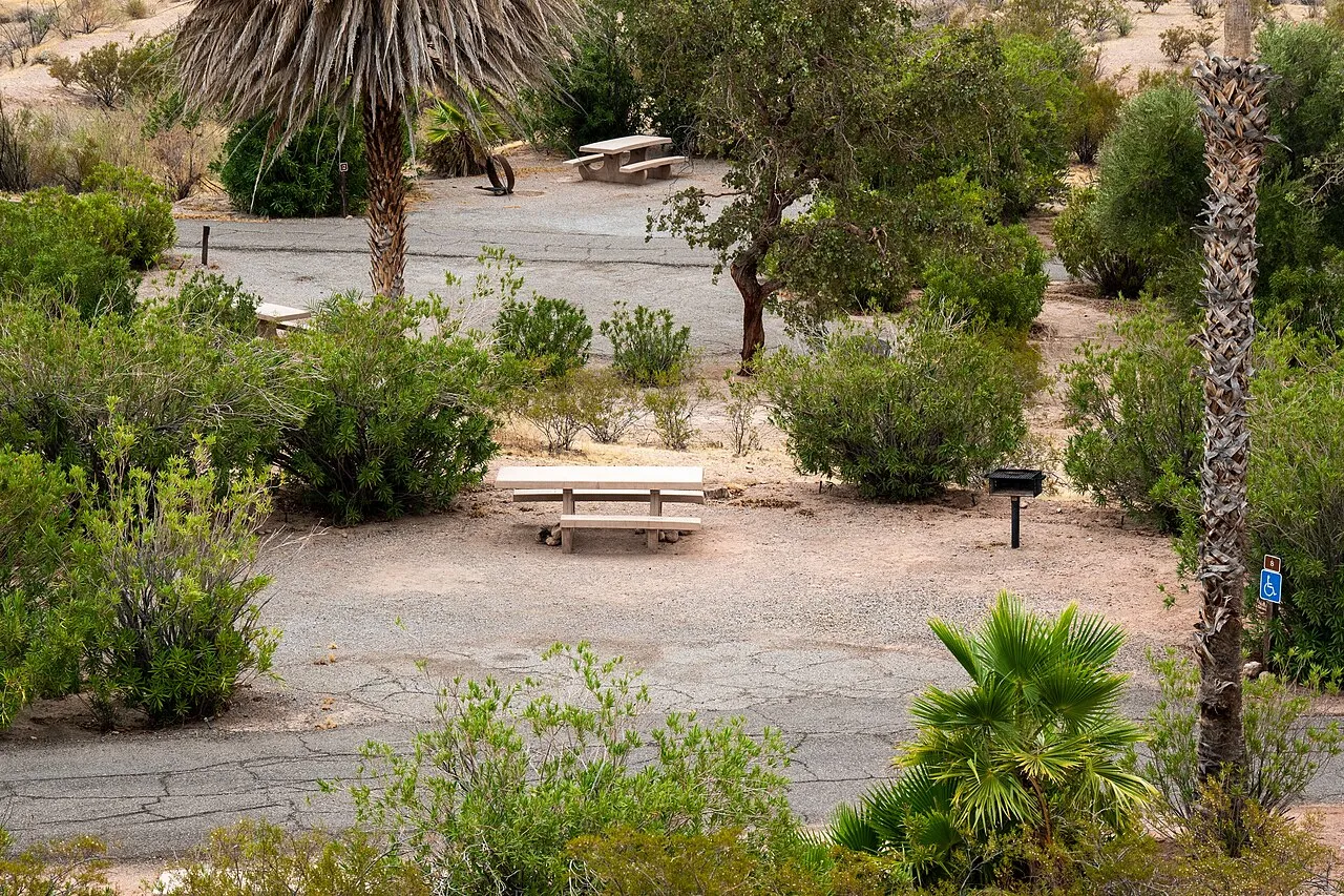 Cottonwood Cove Rv Park