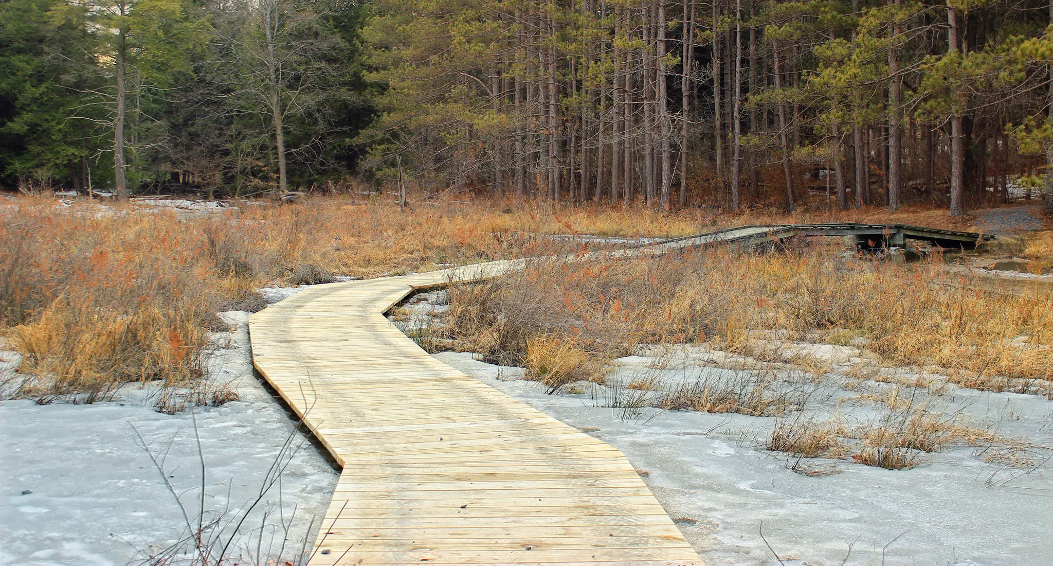 Parker Dam State Park