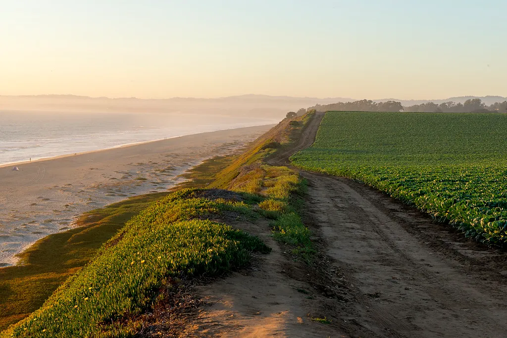 Manresa State Beach Campground