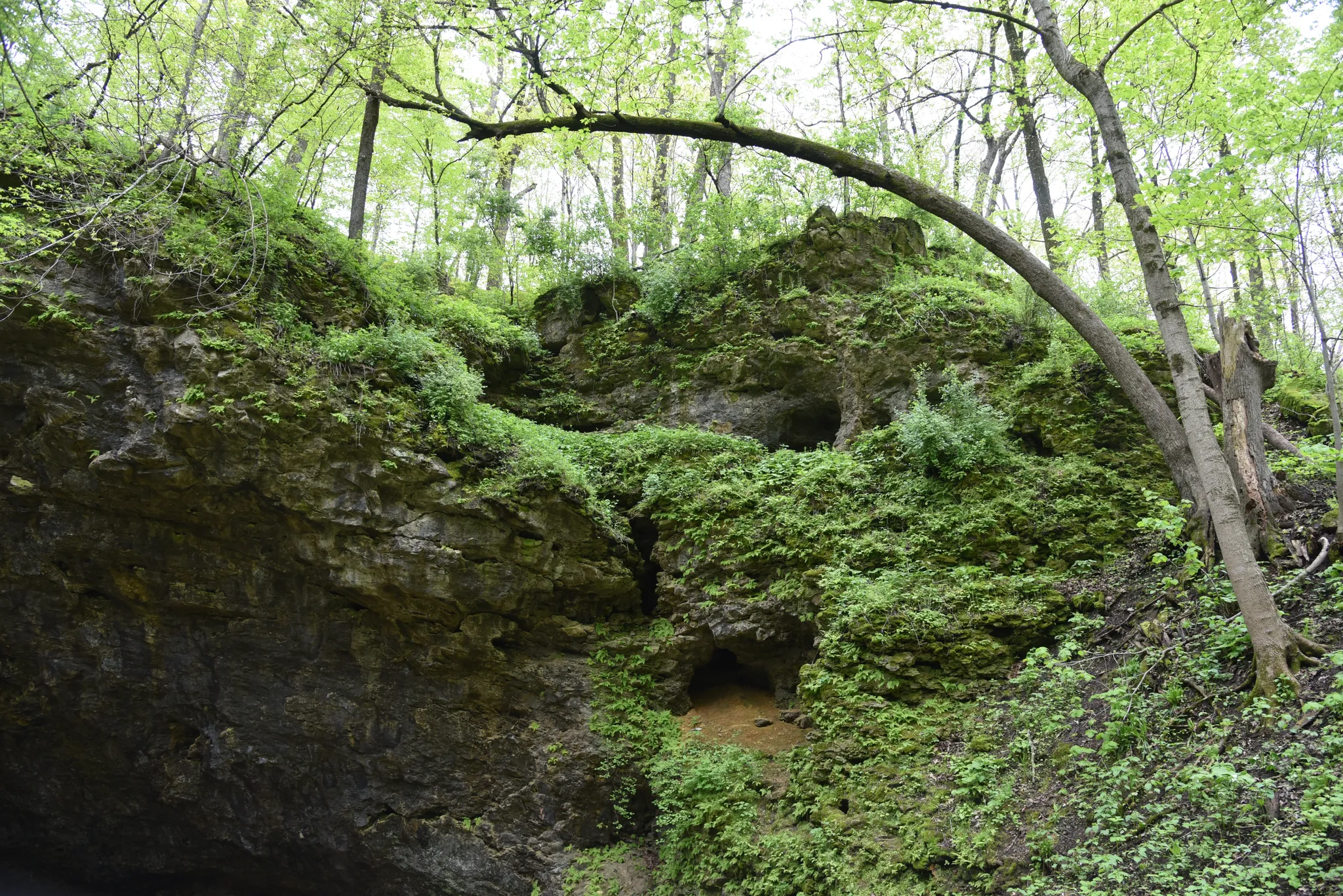Maquoketa Caves State Park