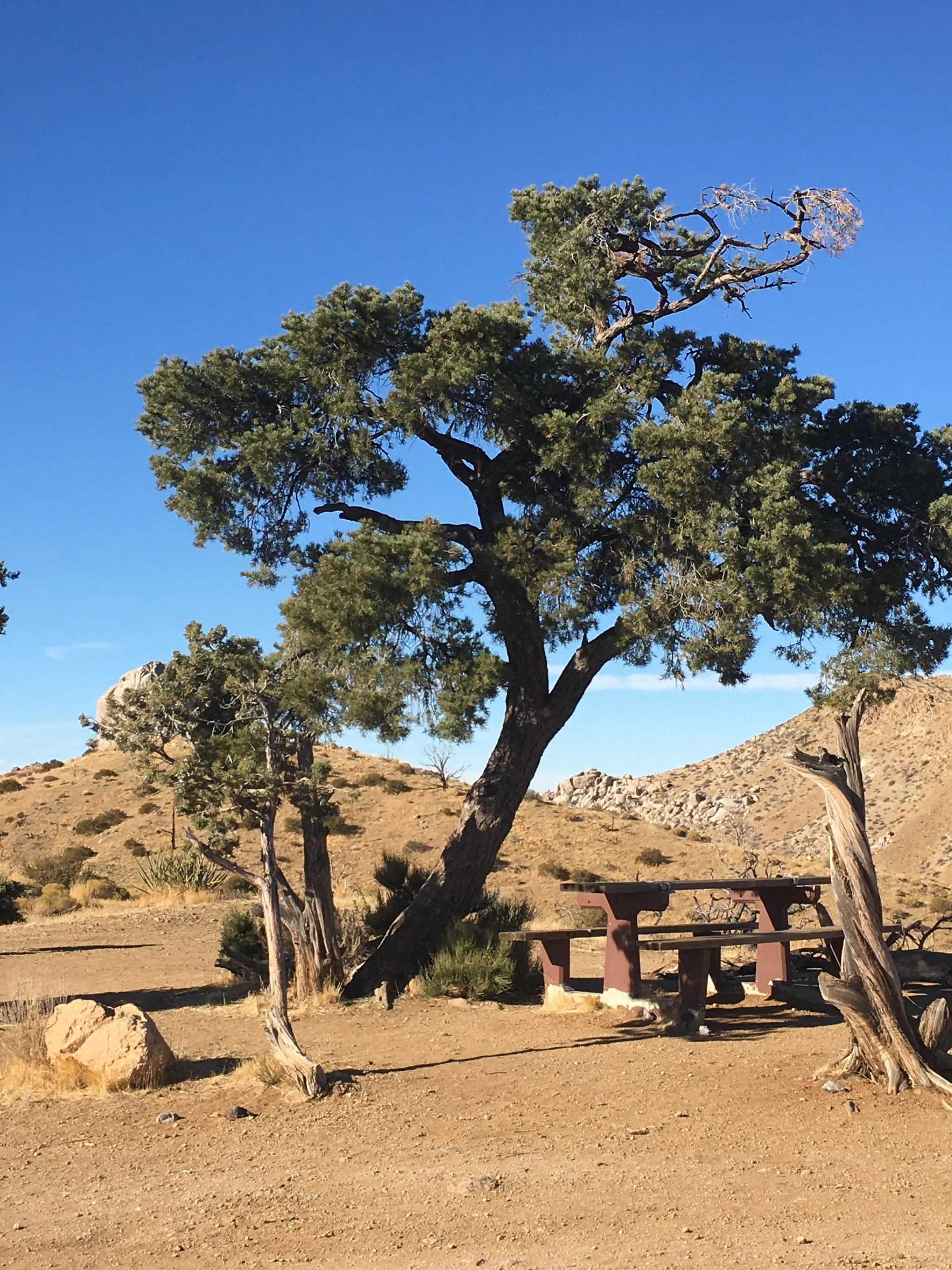 Mid Hills Campground