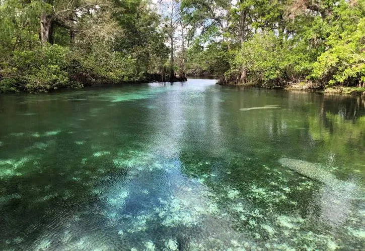 Fanning Springs State Park Campground