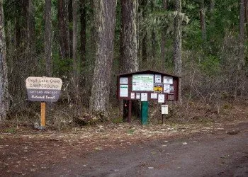 Campground: Trout Lake Creek
