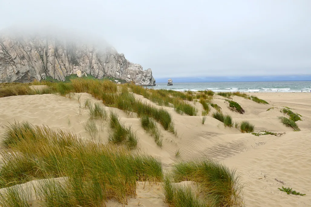 Morro Strand State Beach Campground