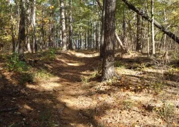 Fourche Mountain Recreation Area