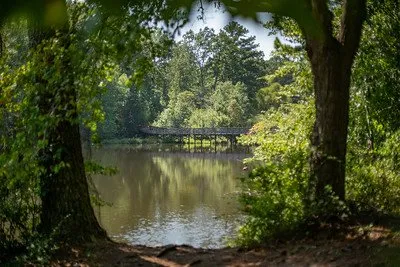 Panola Mountain State Park