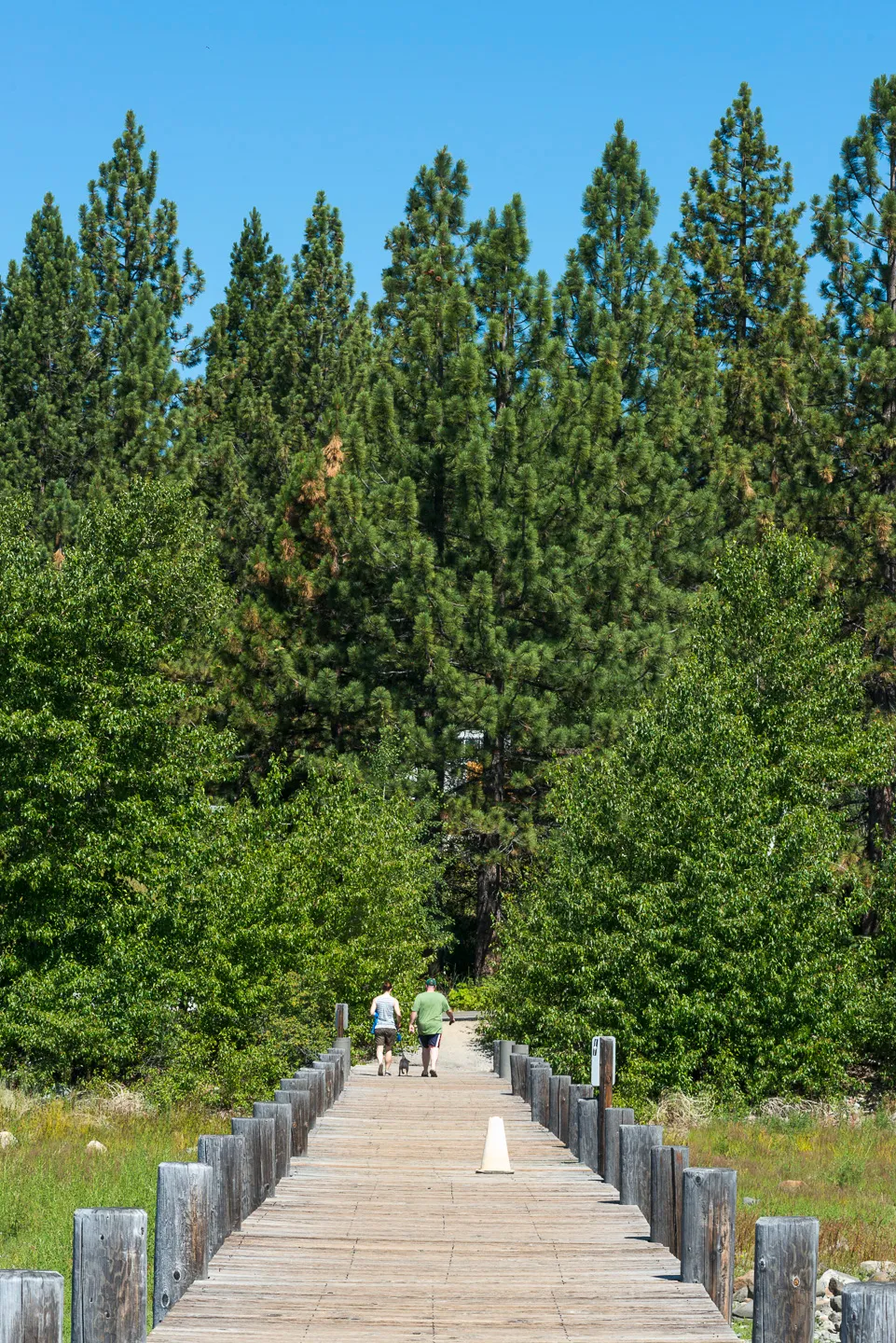 Tahoe Campground