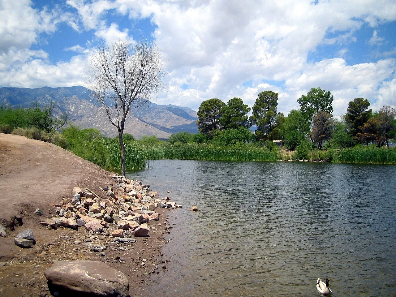 Cottonwood Campground