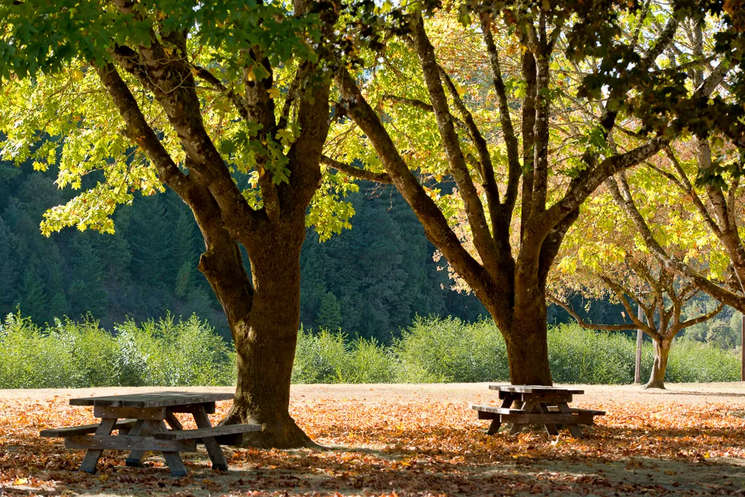 Benbow State Recreation Campground
