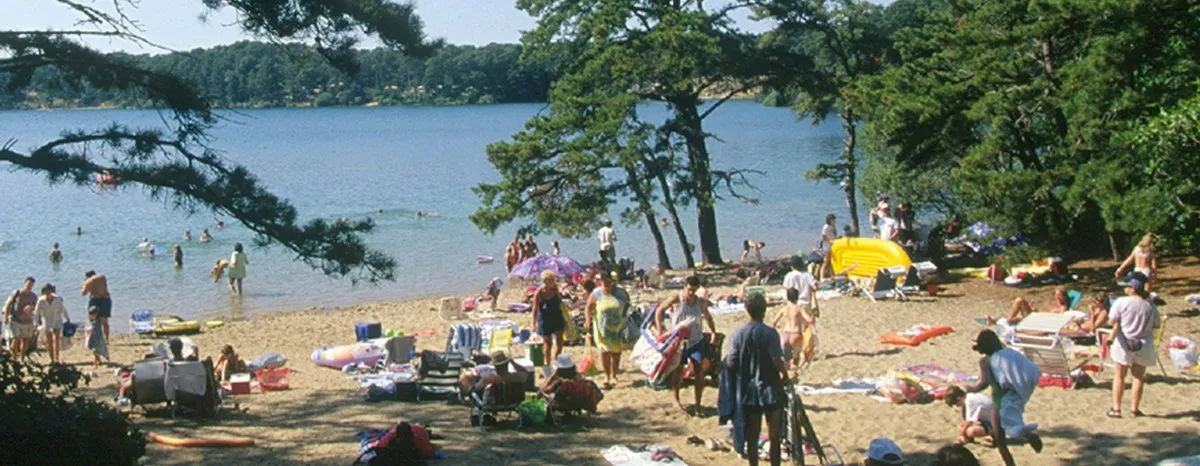 Nickerson State Park