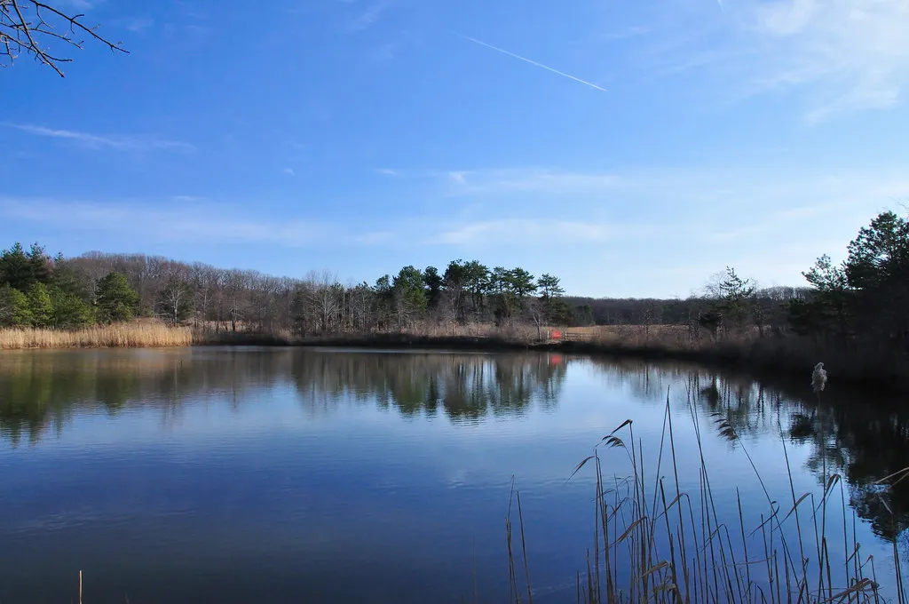 Cheesequake Campground