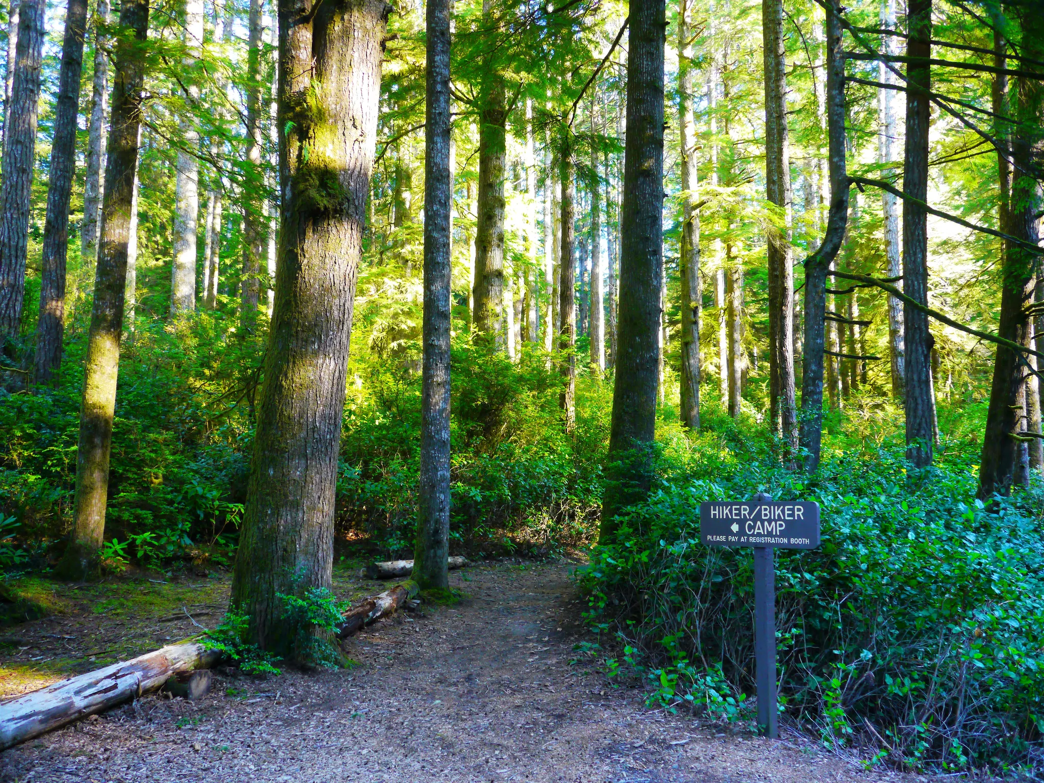 Jessie M. Honeyman Memorial State Park